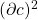 (\partial c)^2
