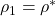 \rho_1=\rho^*